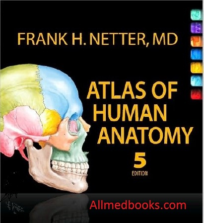 Download netter anatomy pdf 6th